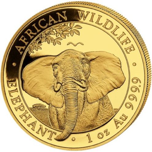 Gold Somalian Elephant